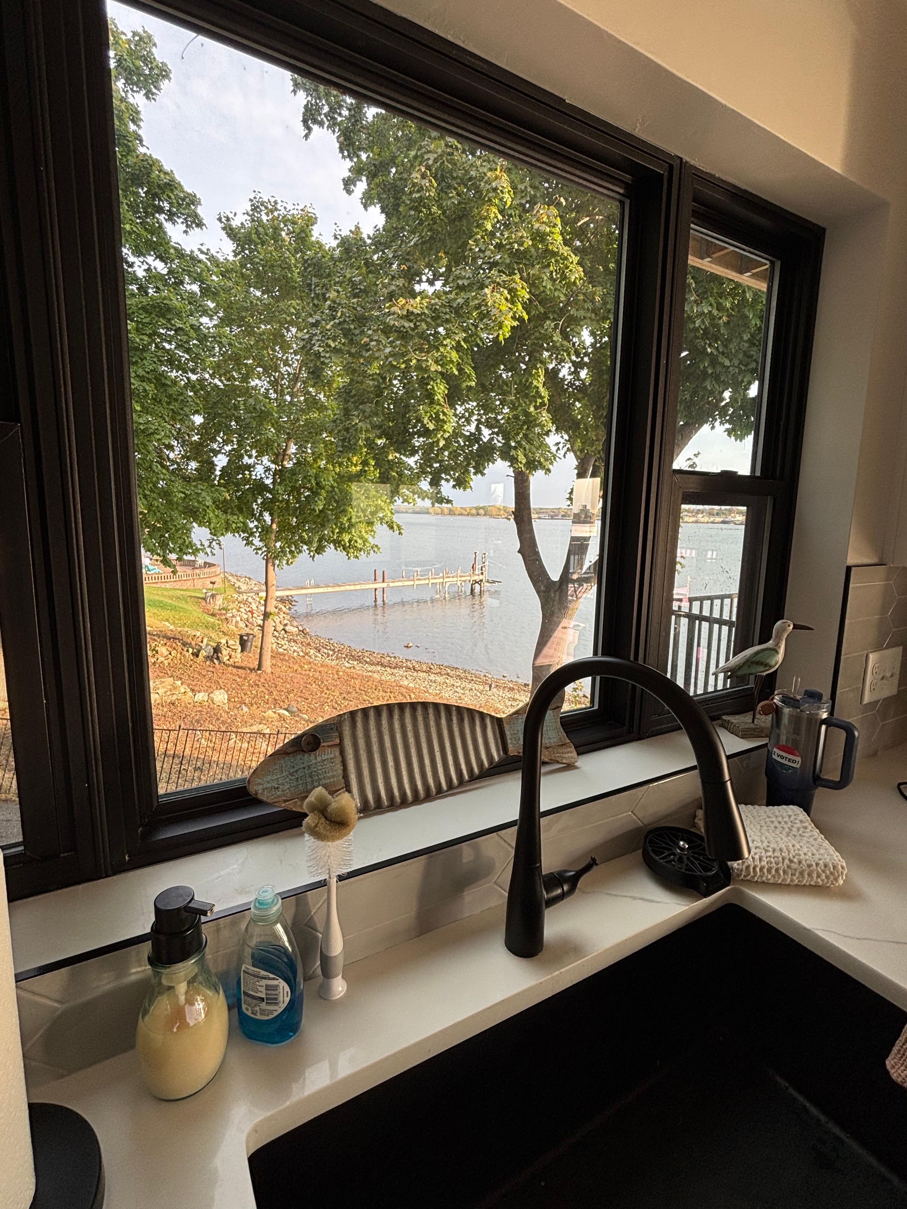 View from the kitchen 