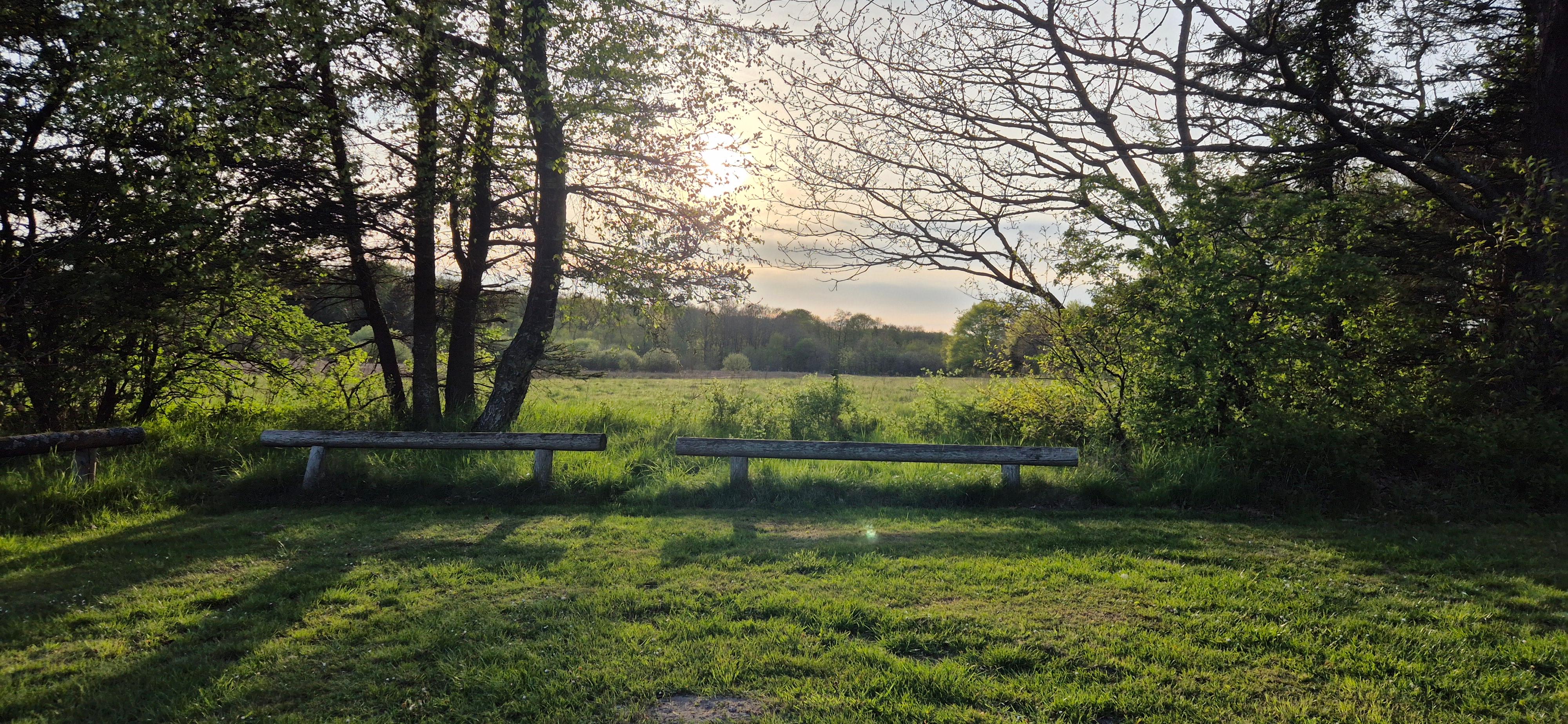 Grillstelle hinter den häusern