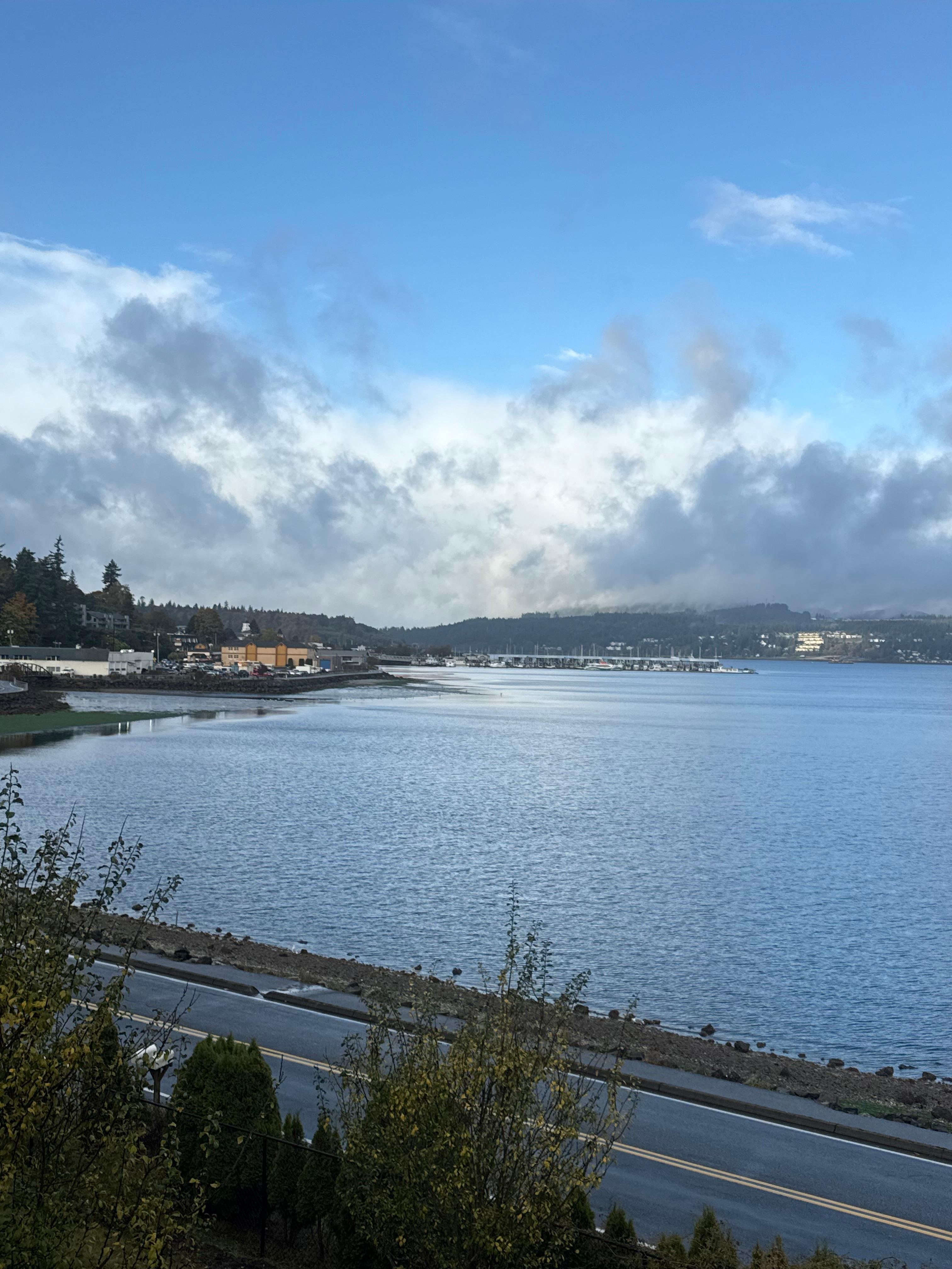 The peaceful coffee morning view from the deck. 
