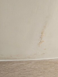 Bathroom Ceiling