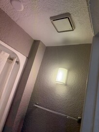 Spider web from ceiling