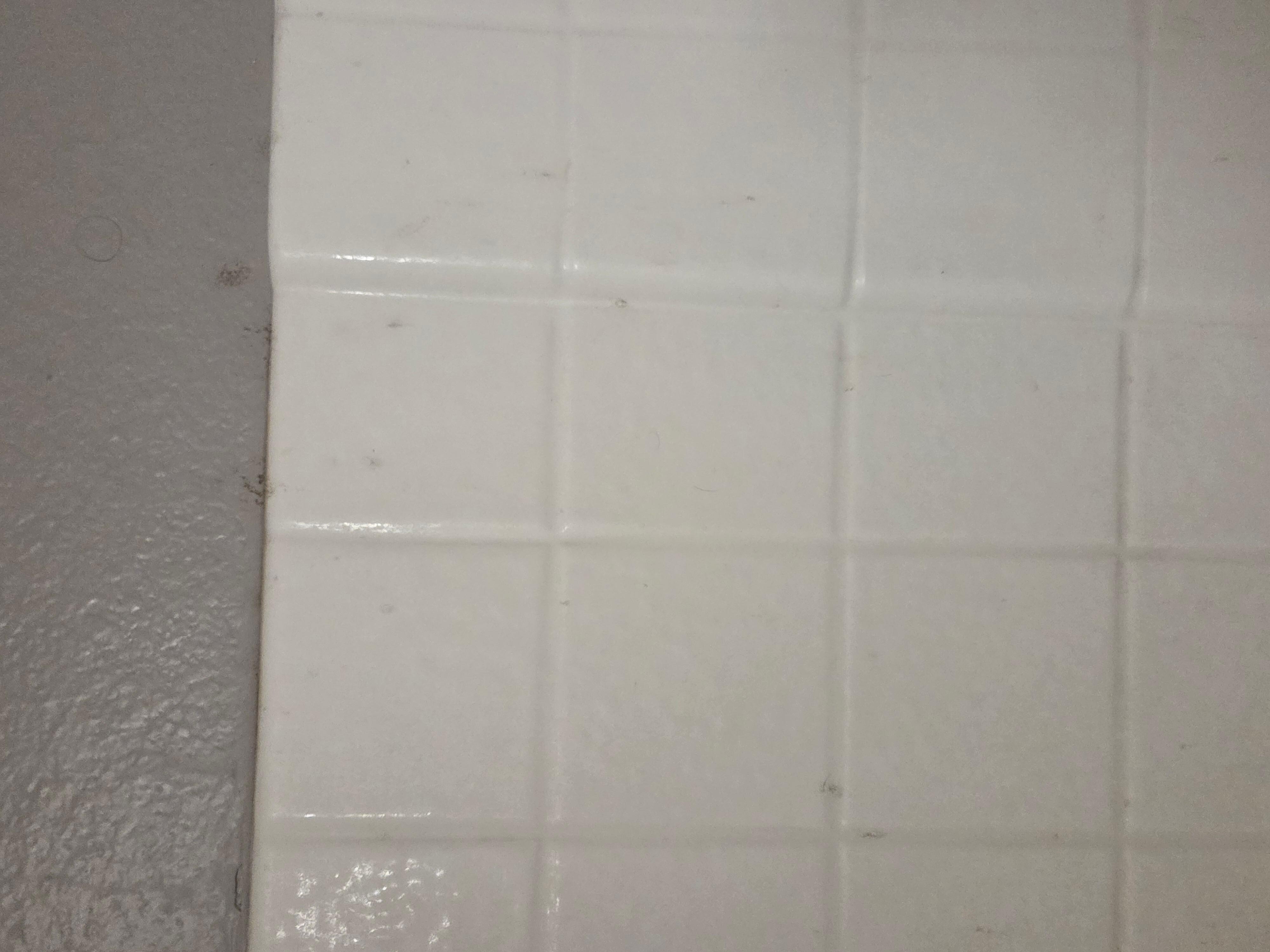 Hair and body fluid on wall of shower