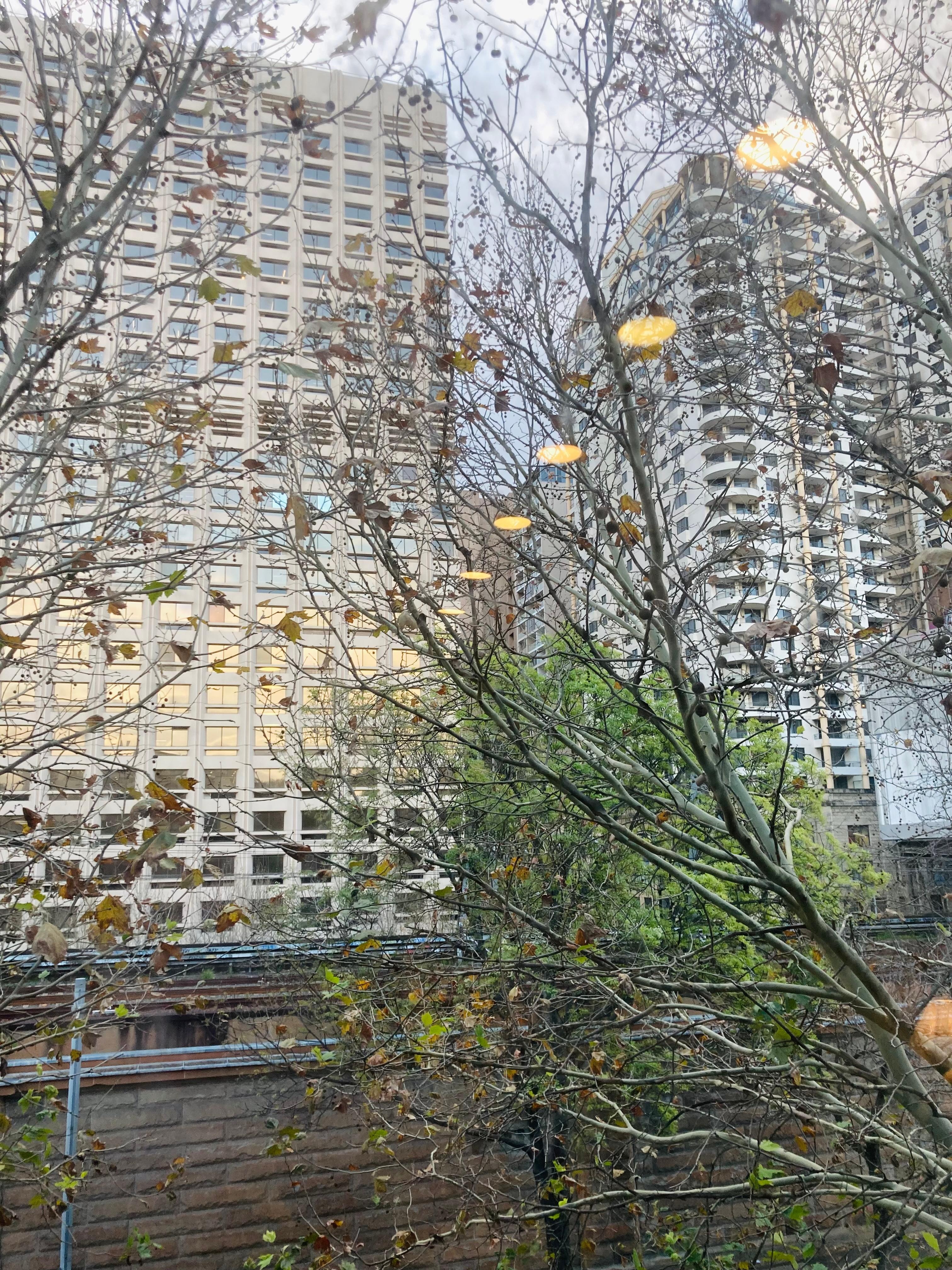 View from room