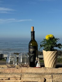 Very nice ocean view from the little patio.