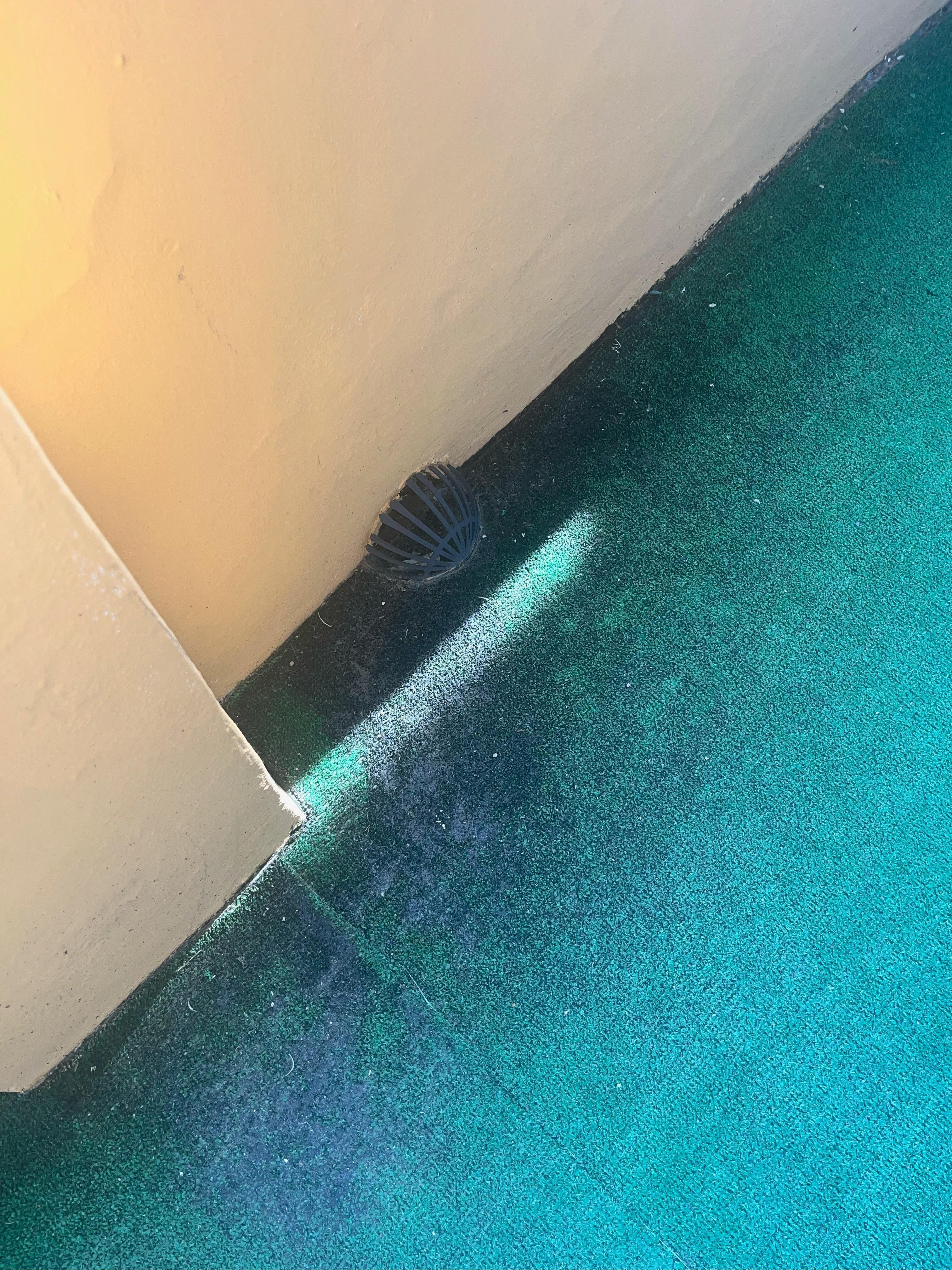 moldy astroturf on porch