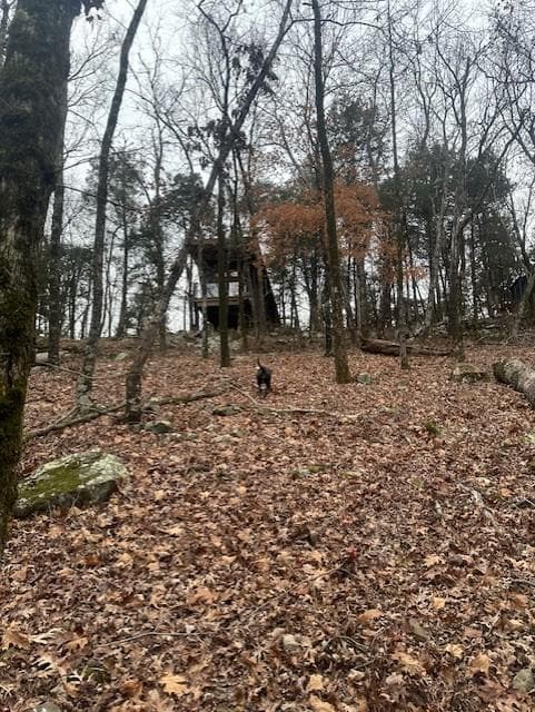 view from below as we climb back up to the cabin