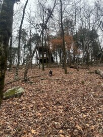 view from below as we climb back up to the cabin