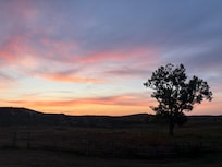 Sunset from the yard