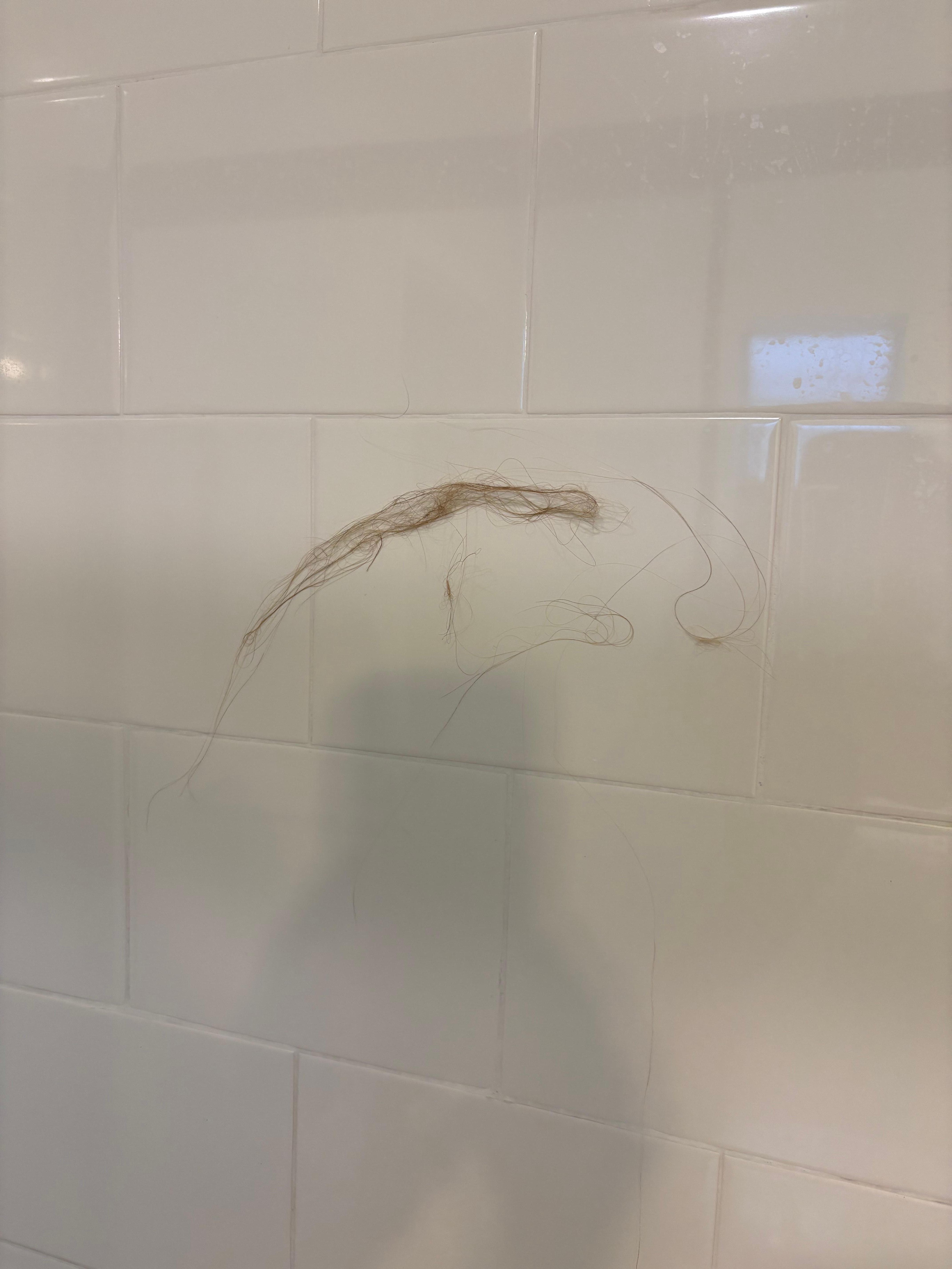 Wad of hair on shower wall