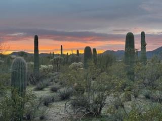 West facing view at sunset.