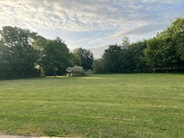 Backyard view from room patio