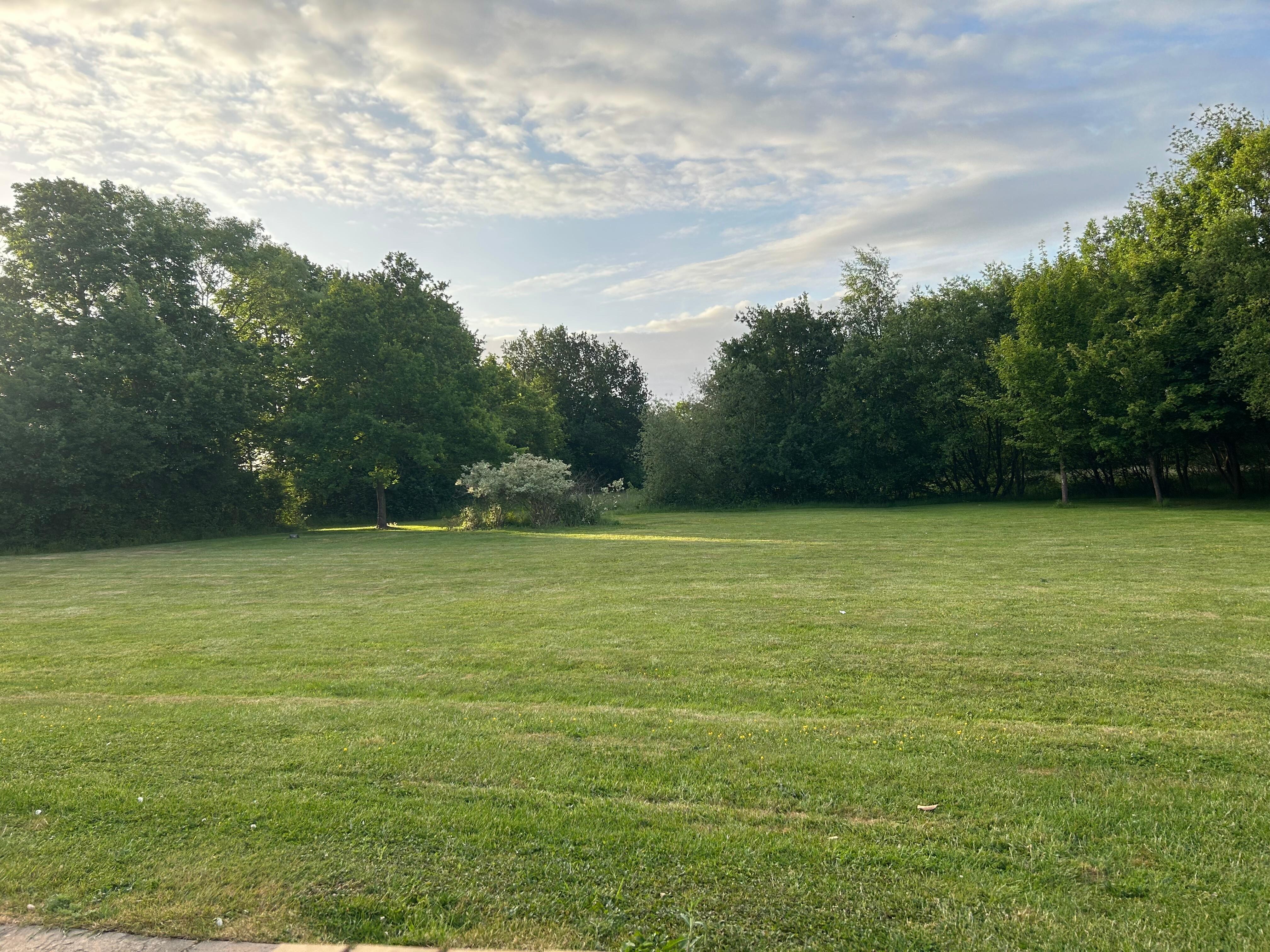 Backyard view from room patio 