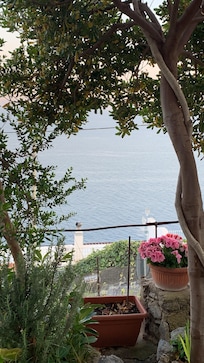 Our view sitting outside.