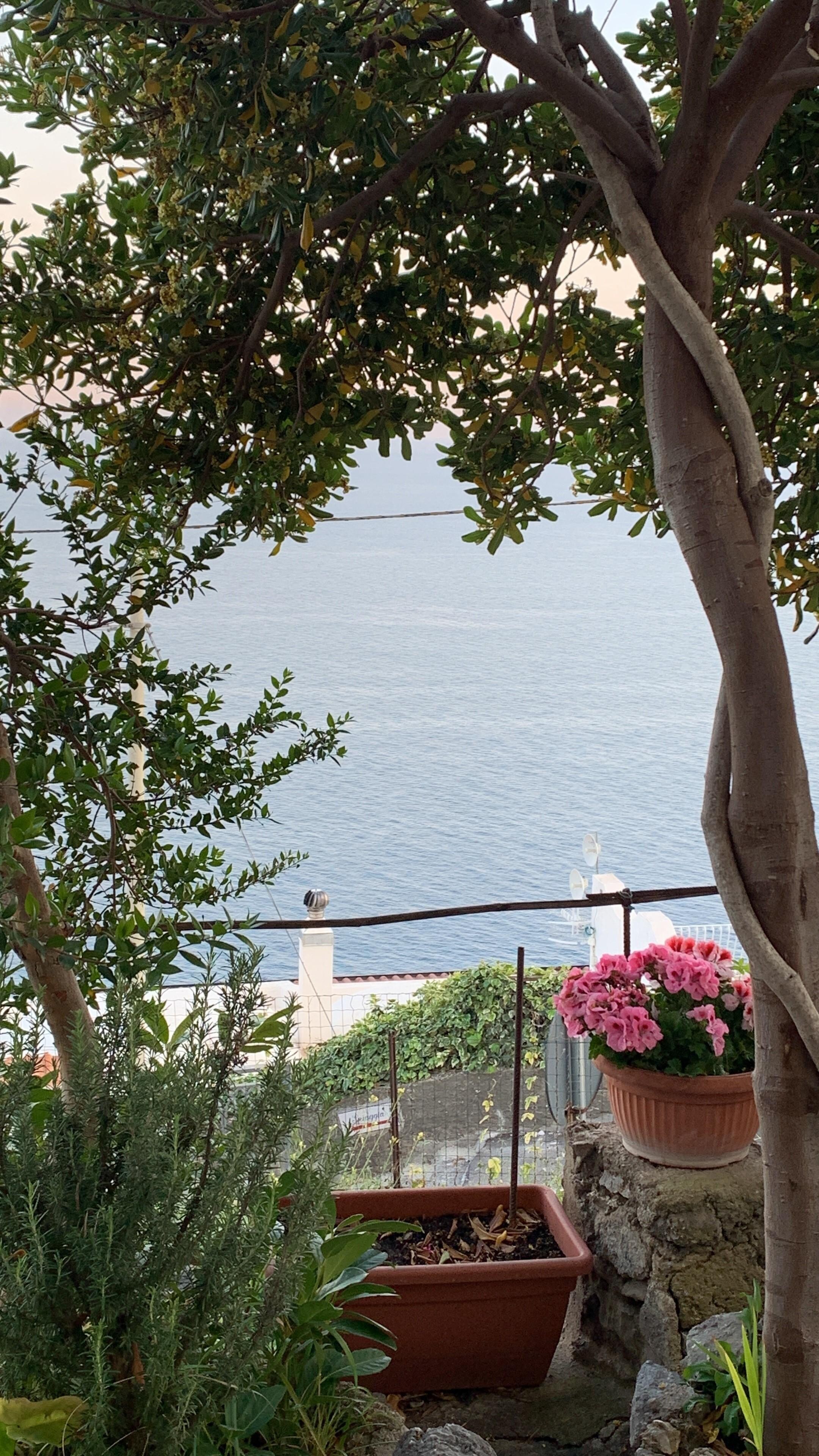 Our view sitting outside. 
