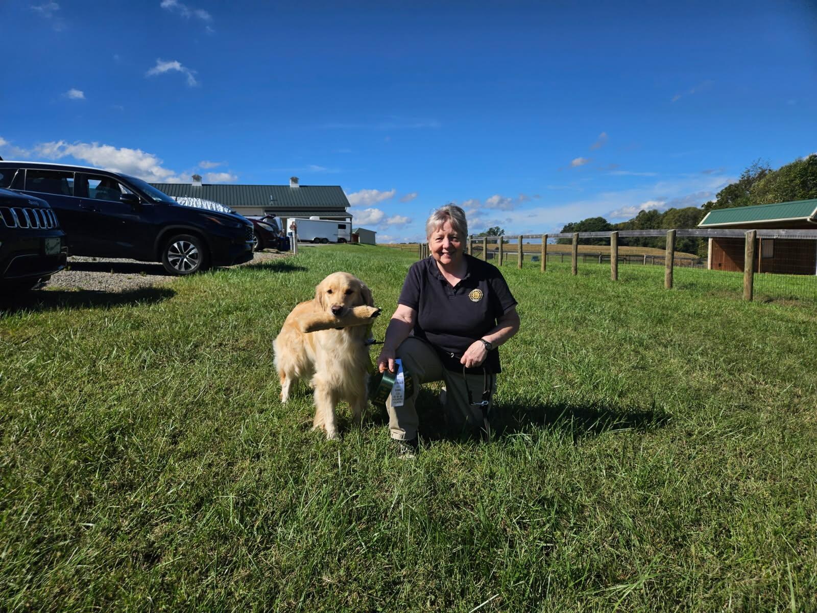 The WSDTC Scent work trial was held nearby so we stayed at Little Blue.