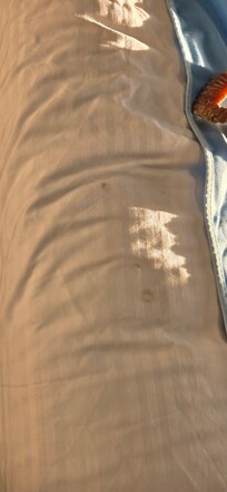 More stains on our bed cover.