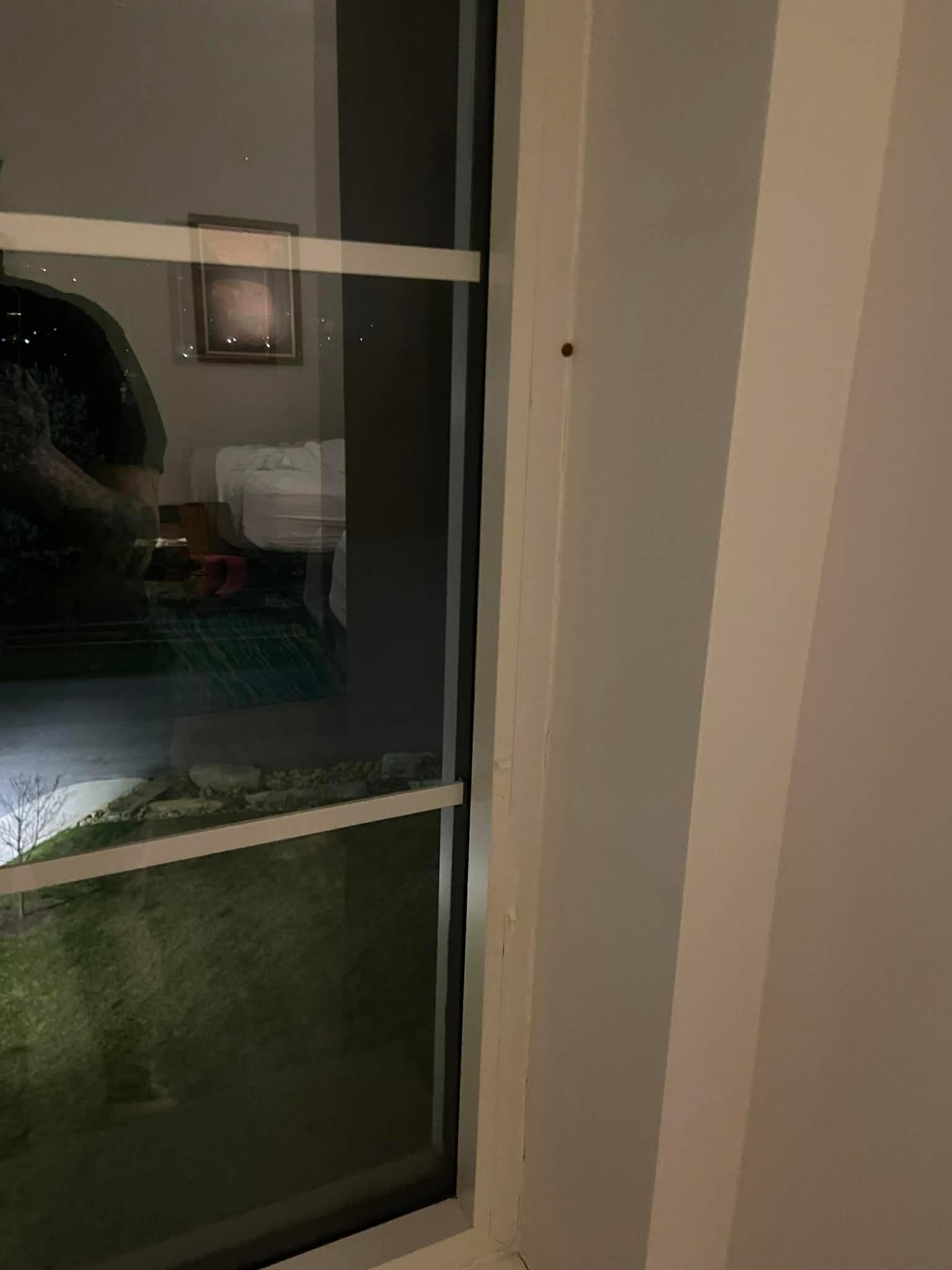 Ladybugs were flying around the room all night 