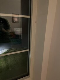 Ladybugs were flying around the room all night