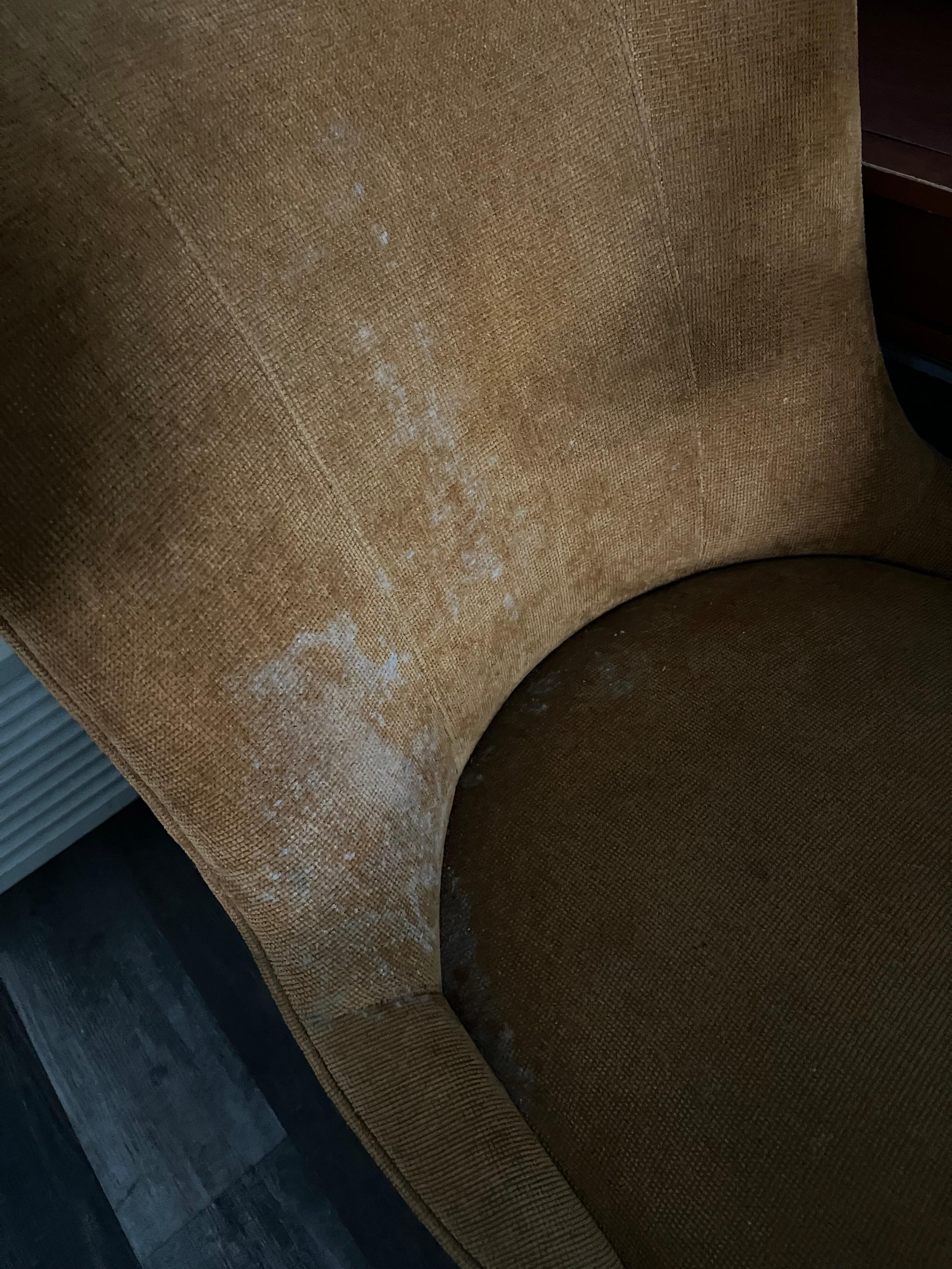 mold
