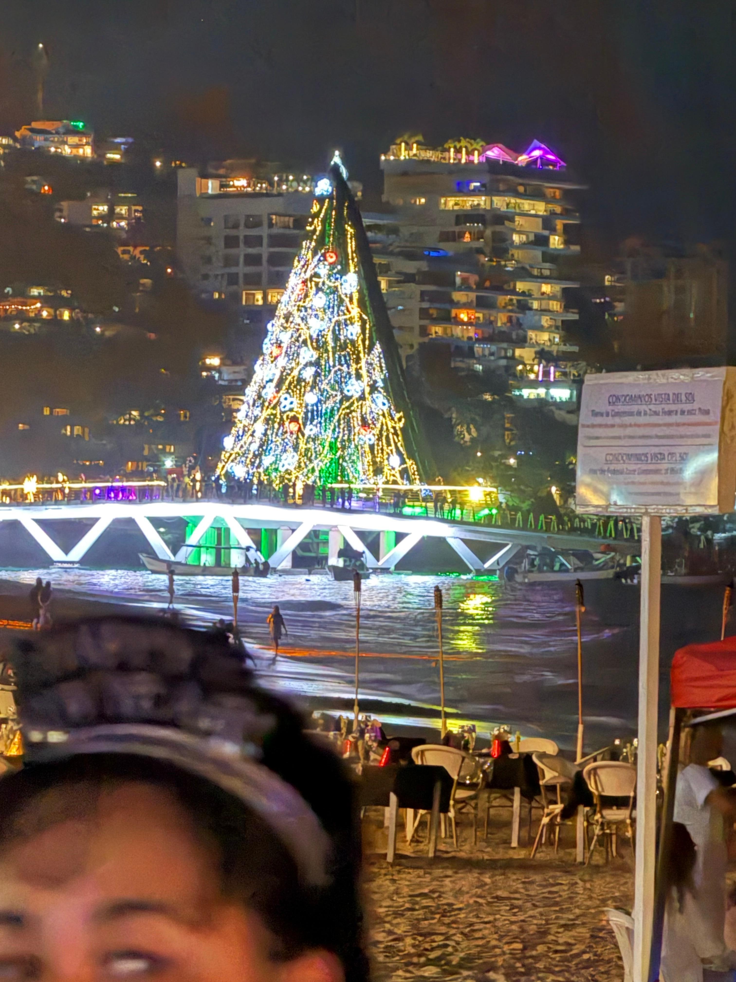 Christmas tree on the dock