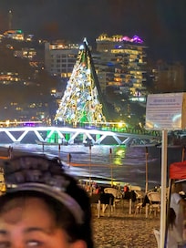 Christmas tree on the dock