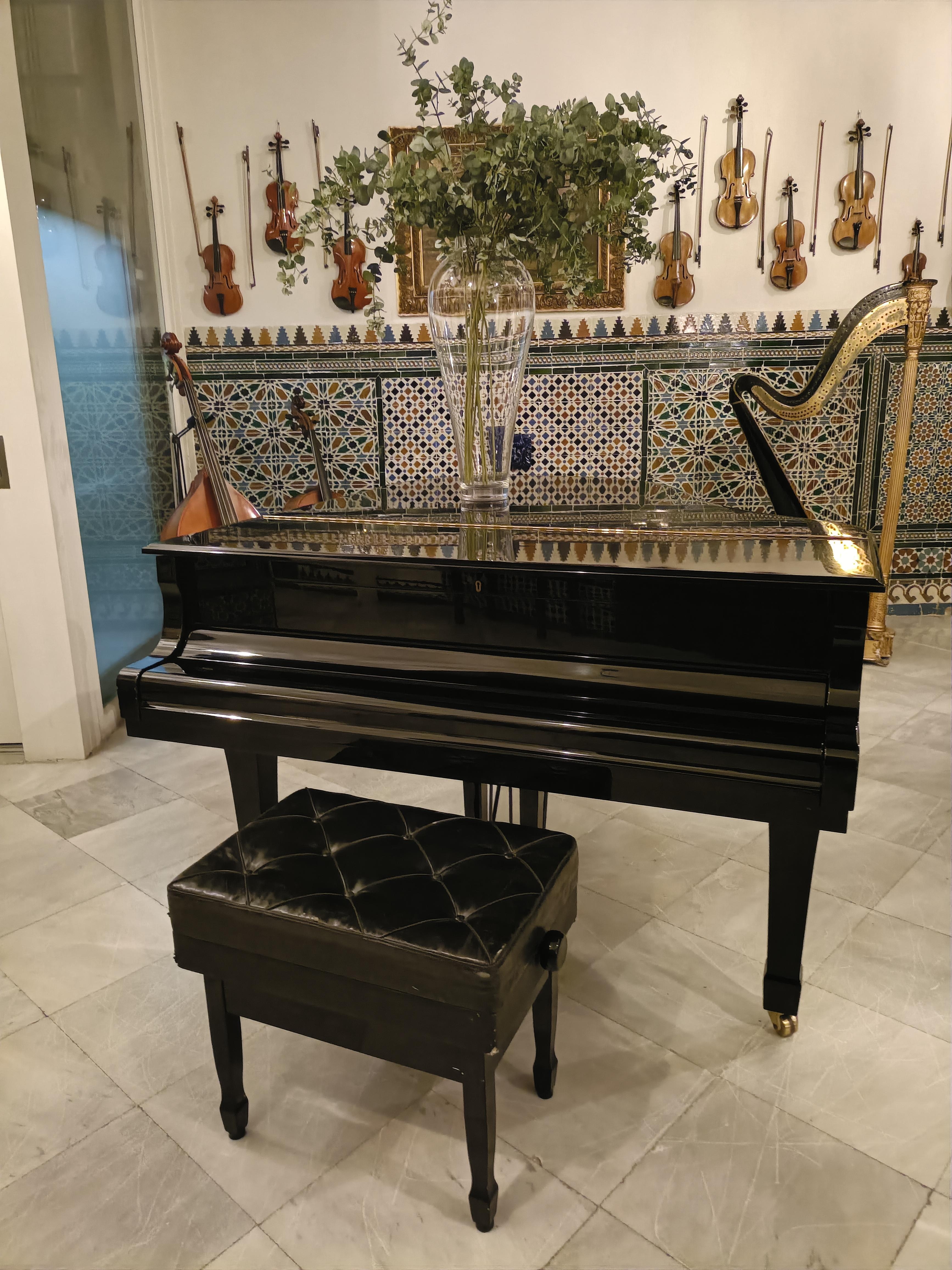 Grand Piano 