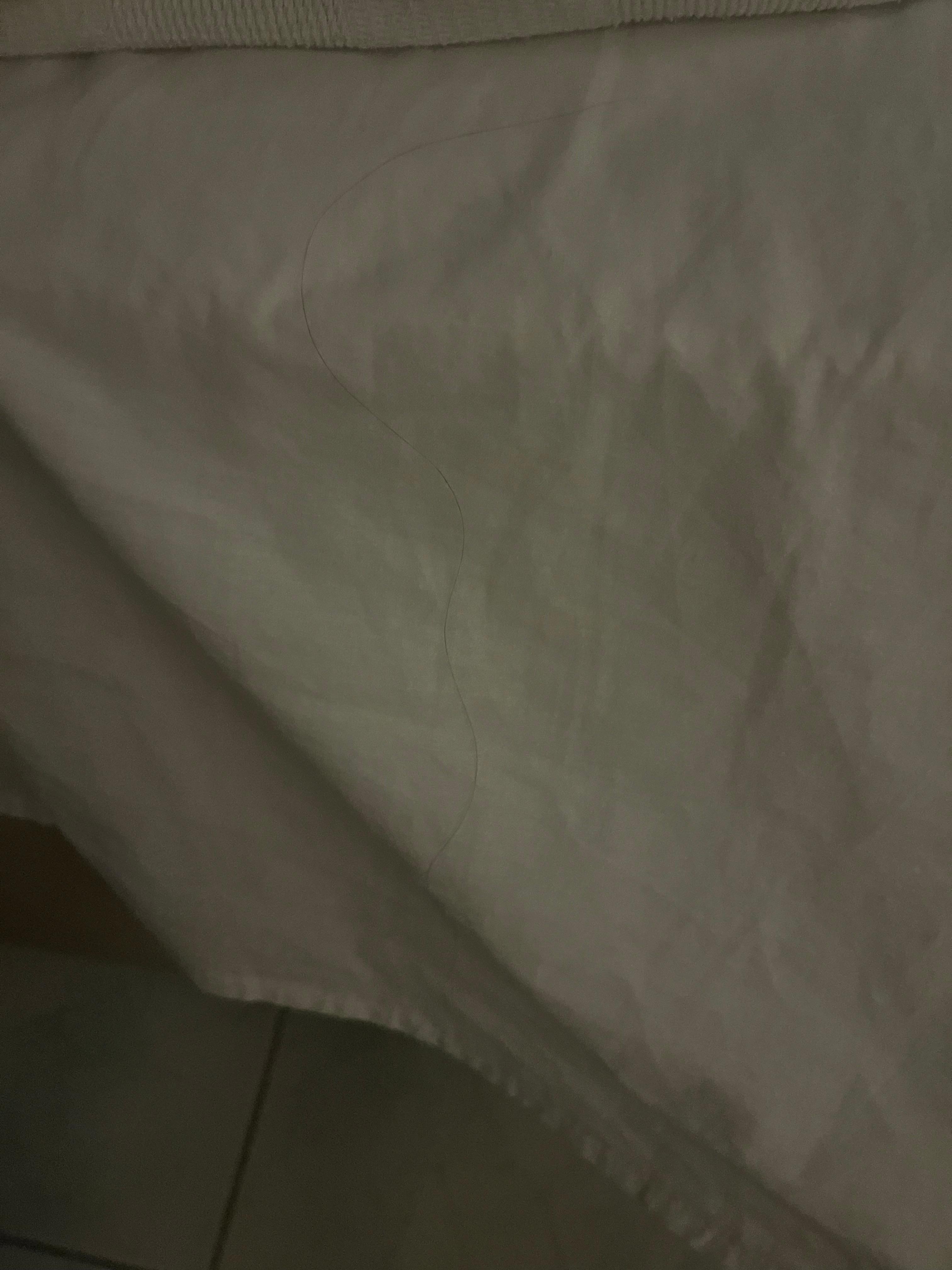 Hår og pletter på sengetøj. Lugt af kloak og kattepis 