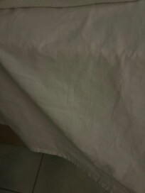 Hår og pletter på sengetøj. Lugt af kloak og kattepis