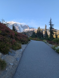 Path to Myrtle Falls on Mt. Rainier