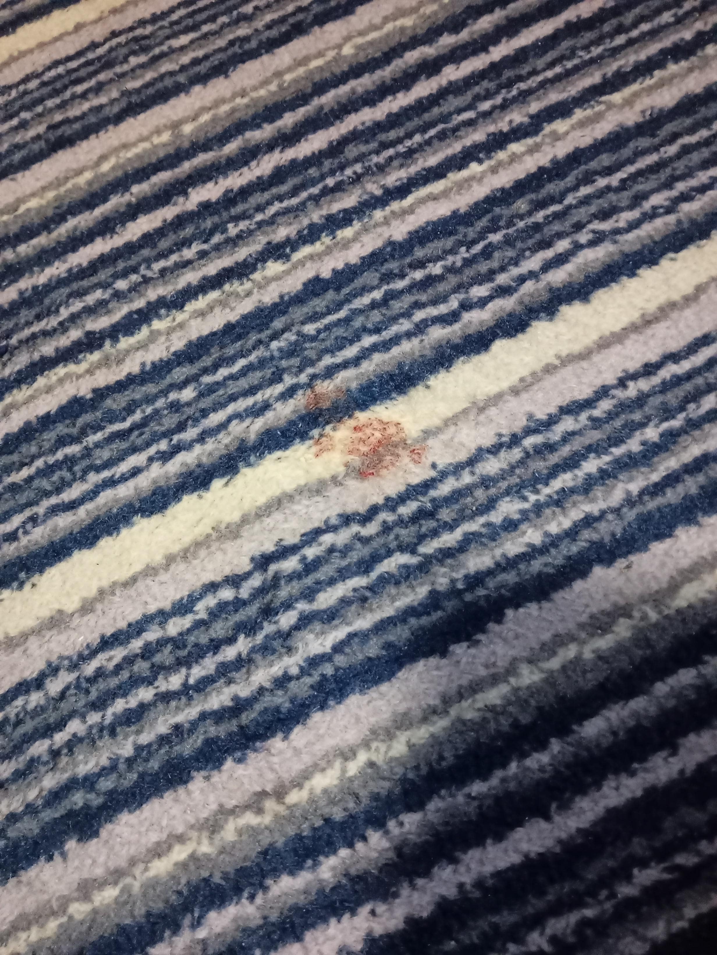 Some kind of hot drink or food stain in the carpets