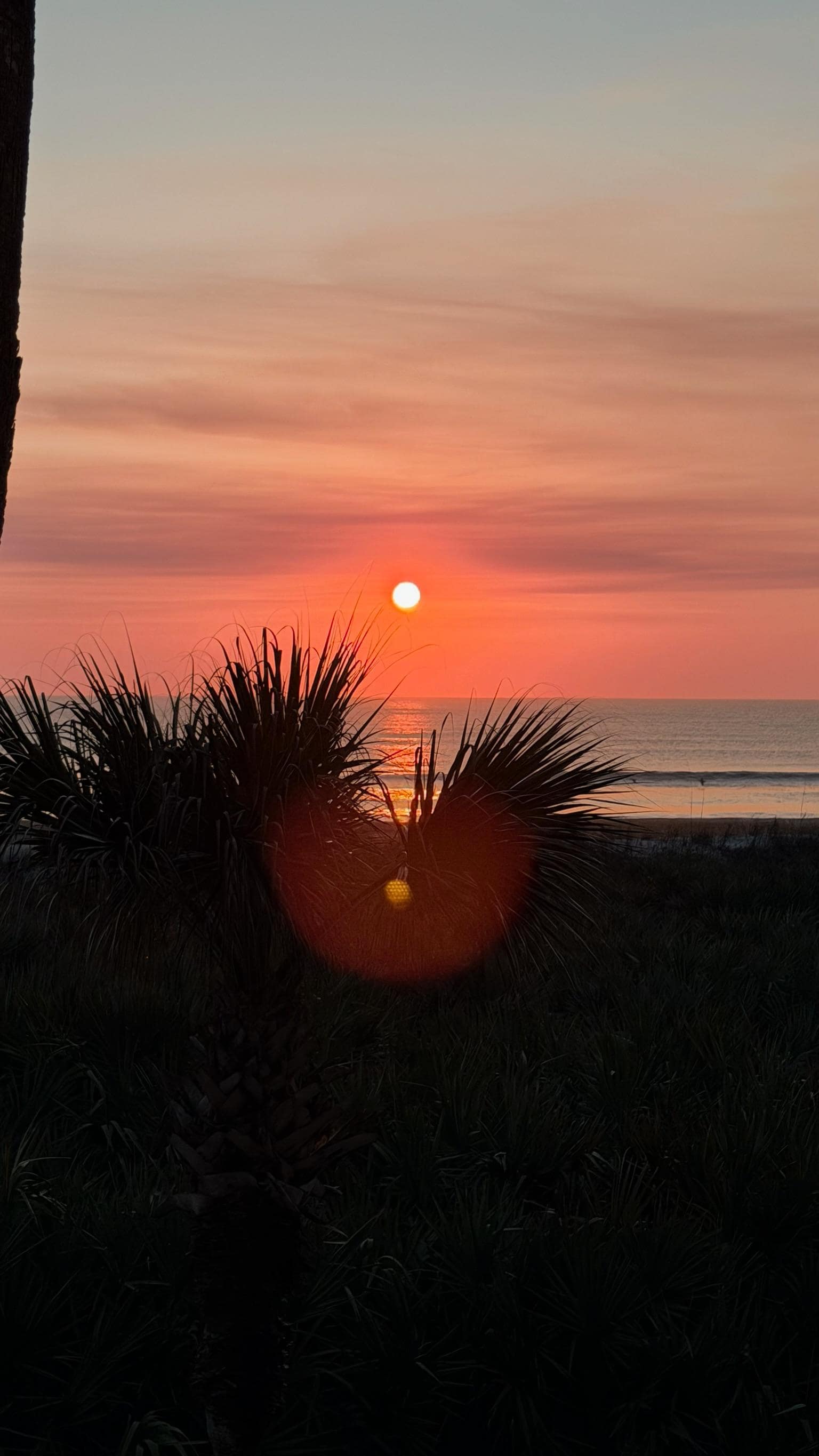 Sunrise from the patio