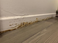 L’ensemble des plinthes dans cette état