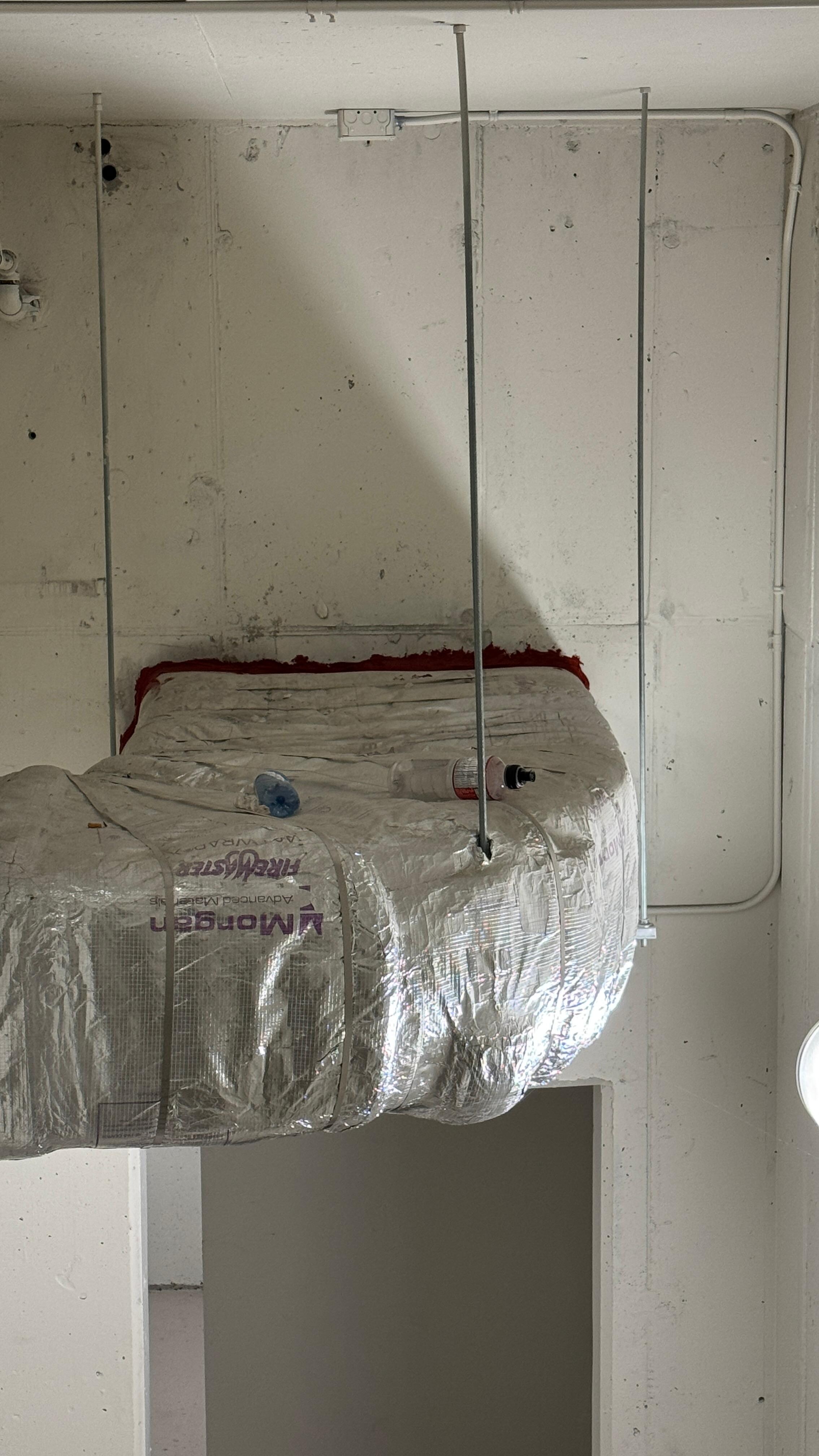 garbage in rafters 