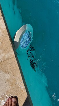 The light of the pool