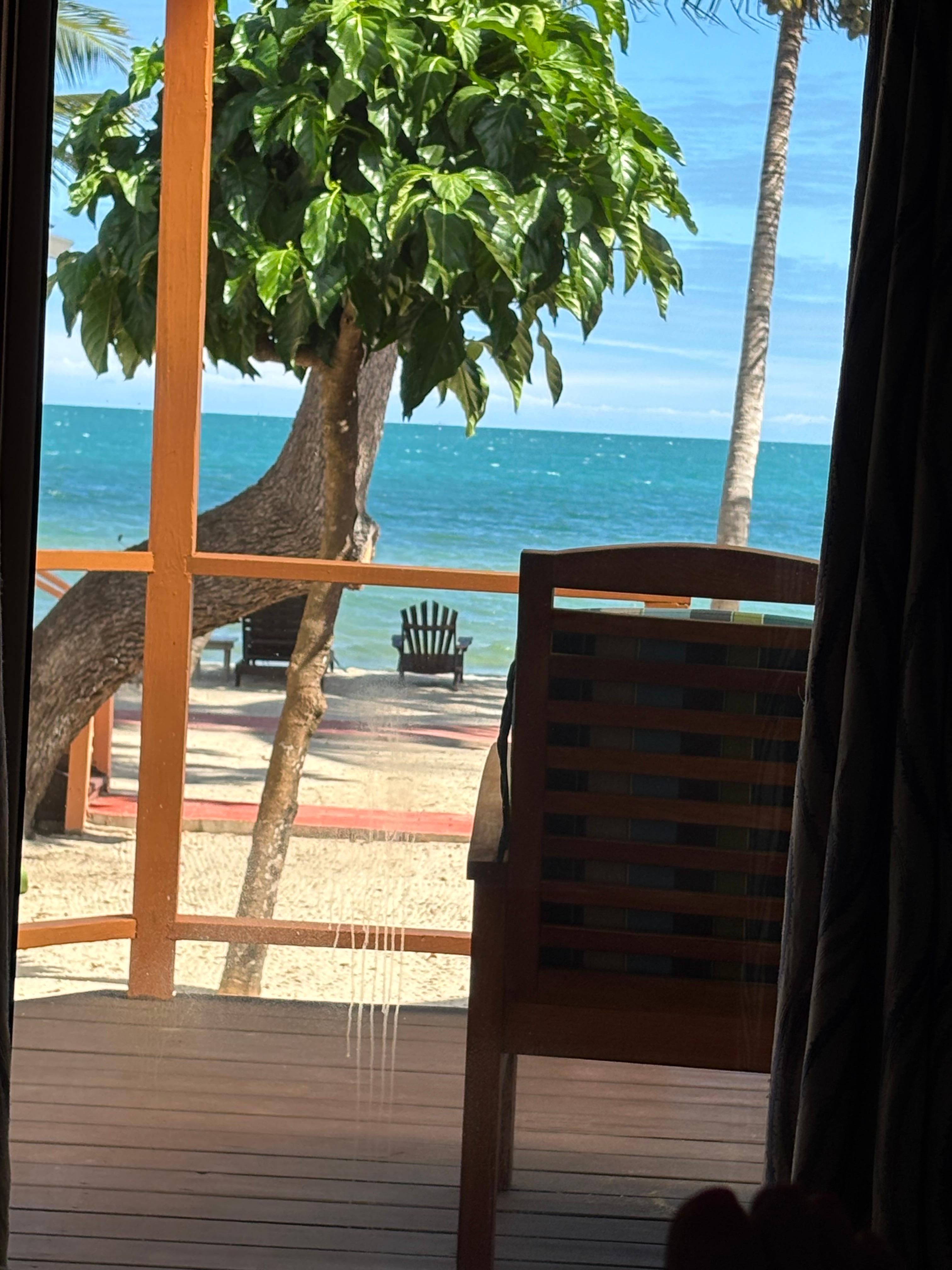 View from the porch of the King Tide room