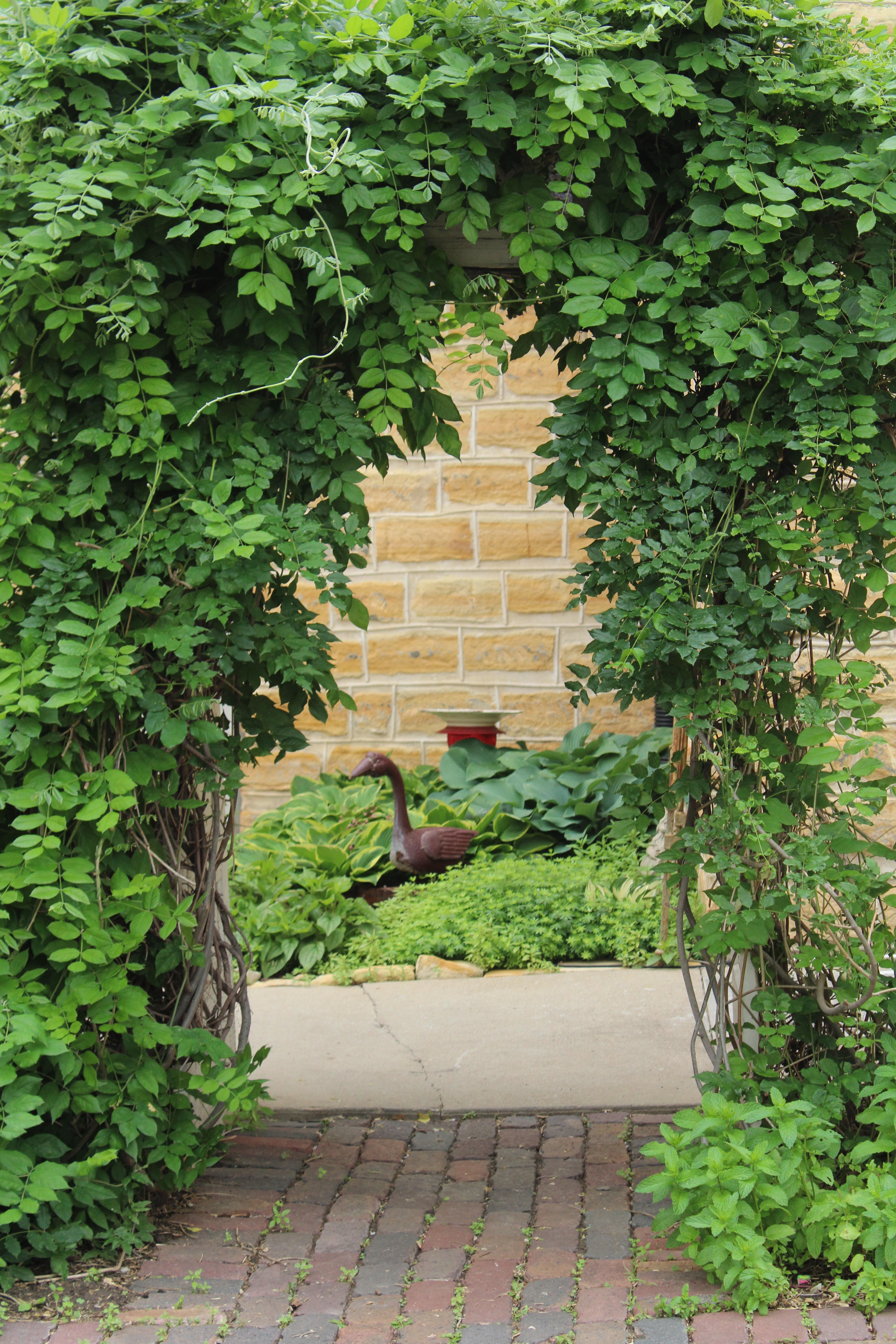 Walkway to outdoor patio area