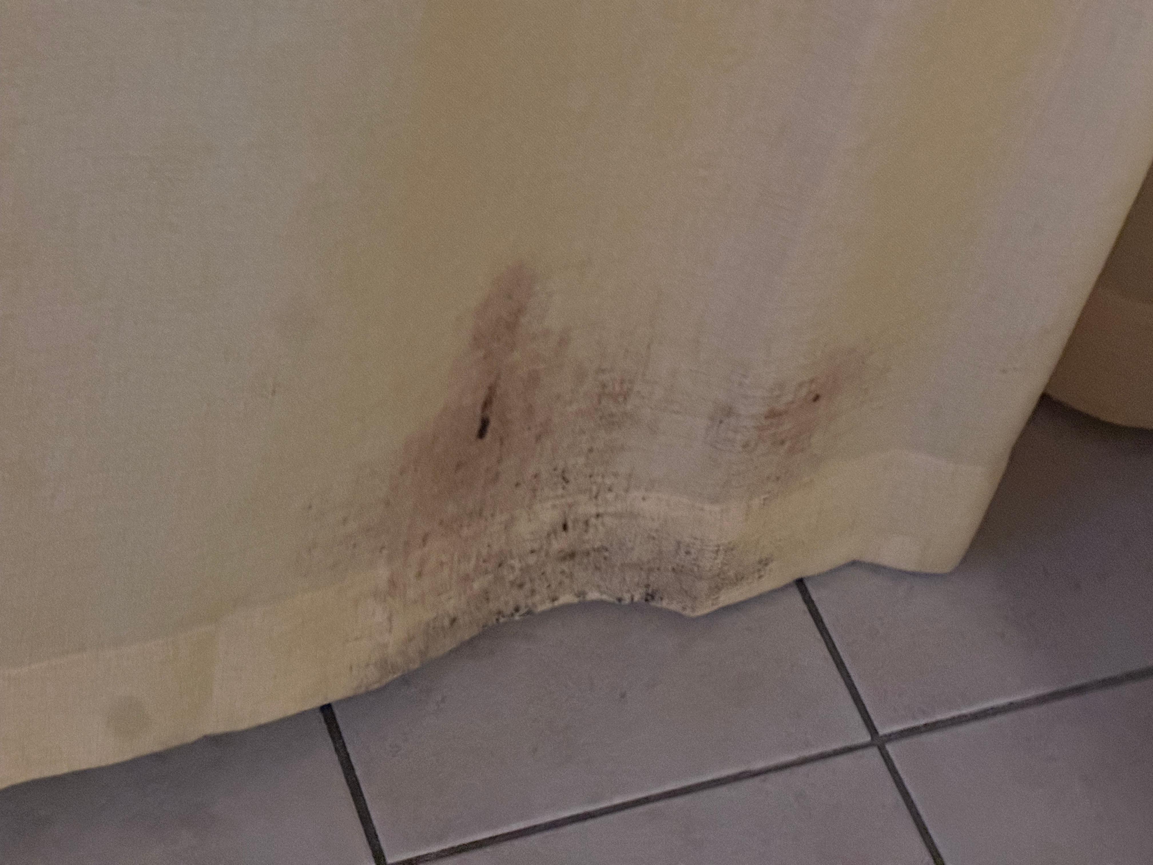 The mold in the living room