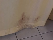 The mold in the living room