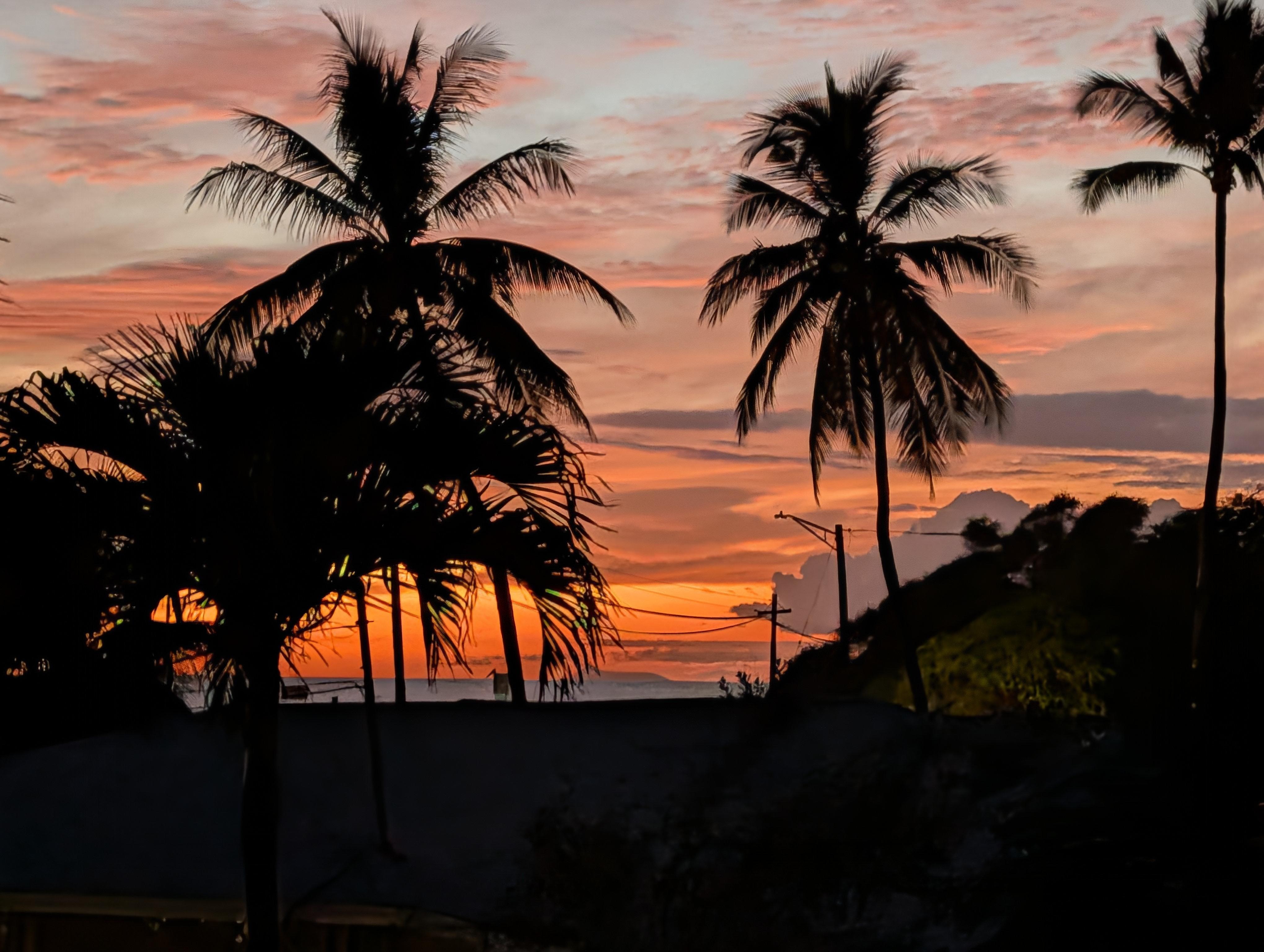 Hanging out evening.