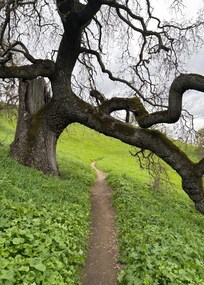 Shell Ridge Open Space