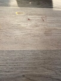 Sticky stain and blood (?) on floor next to bed in suite
