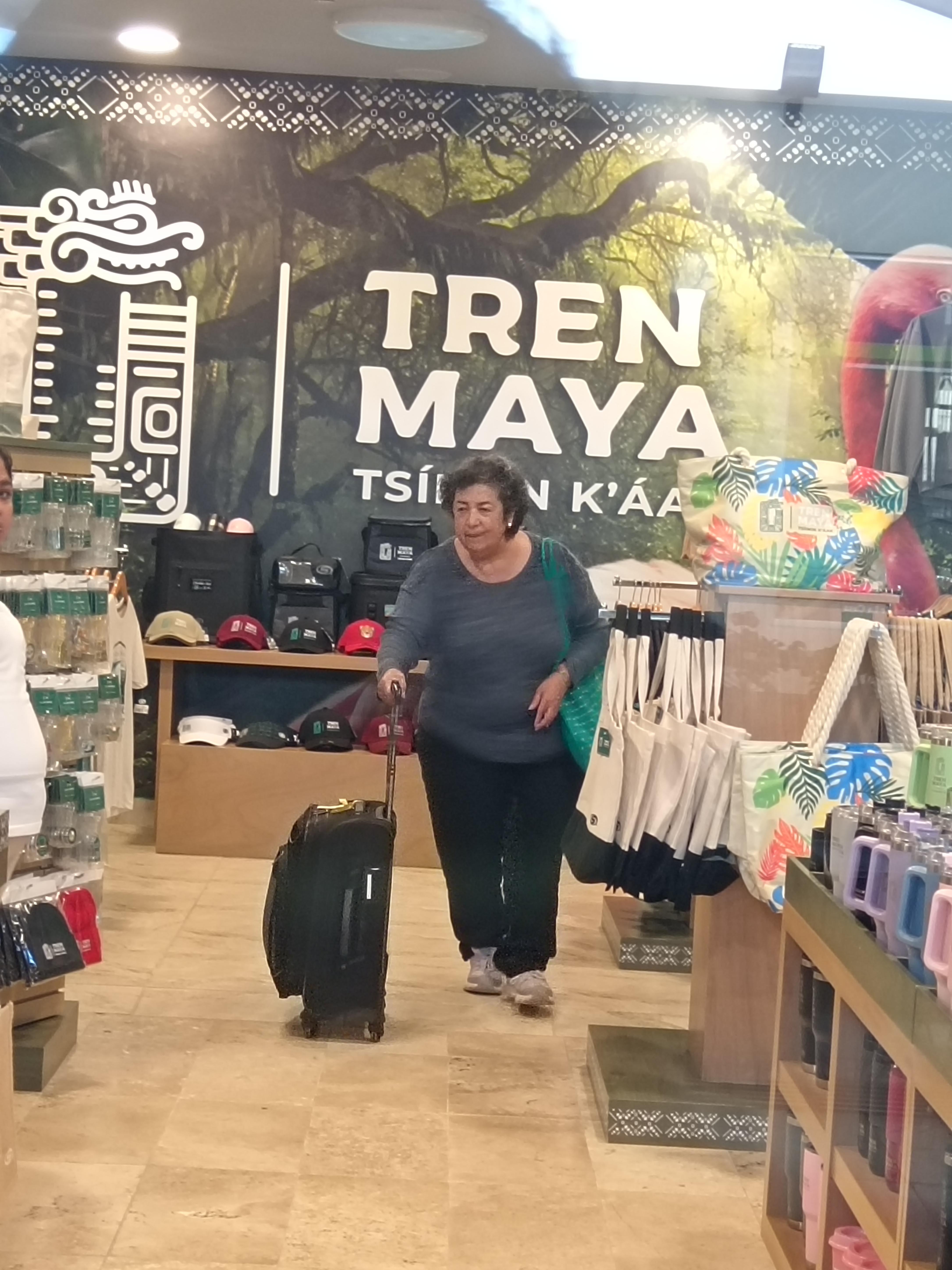 Van por nosotras al tren y nos llevan de regreso, incluido. También a los parques