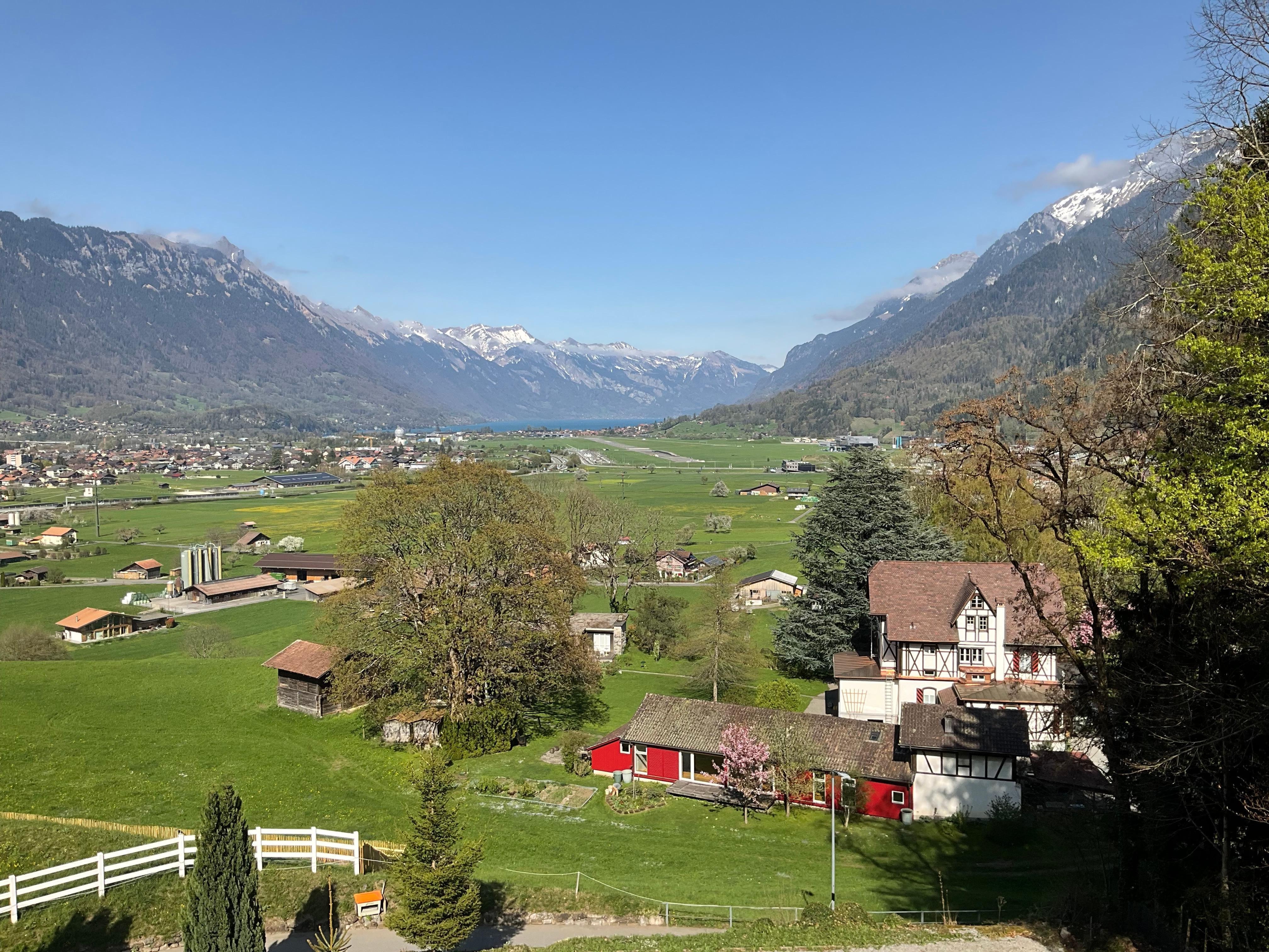 View from my balcony