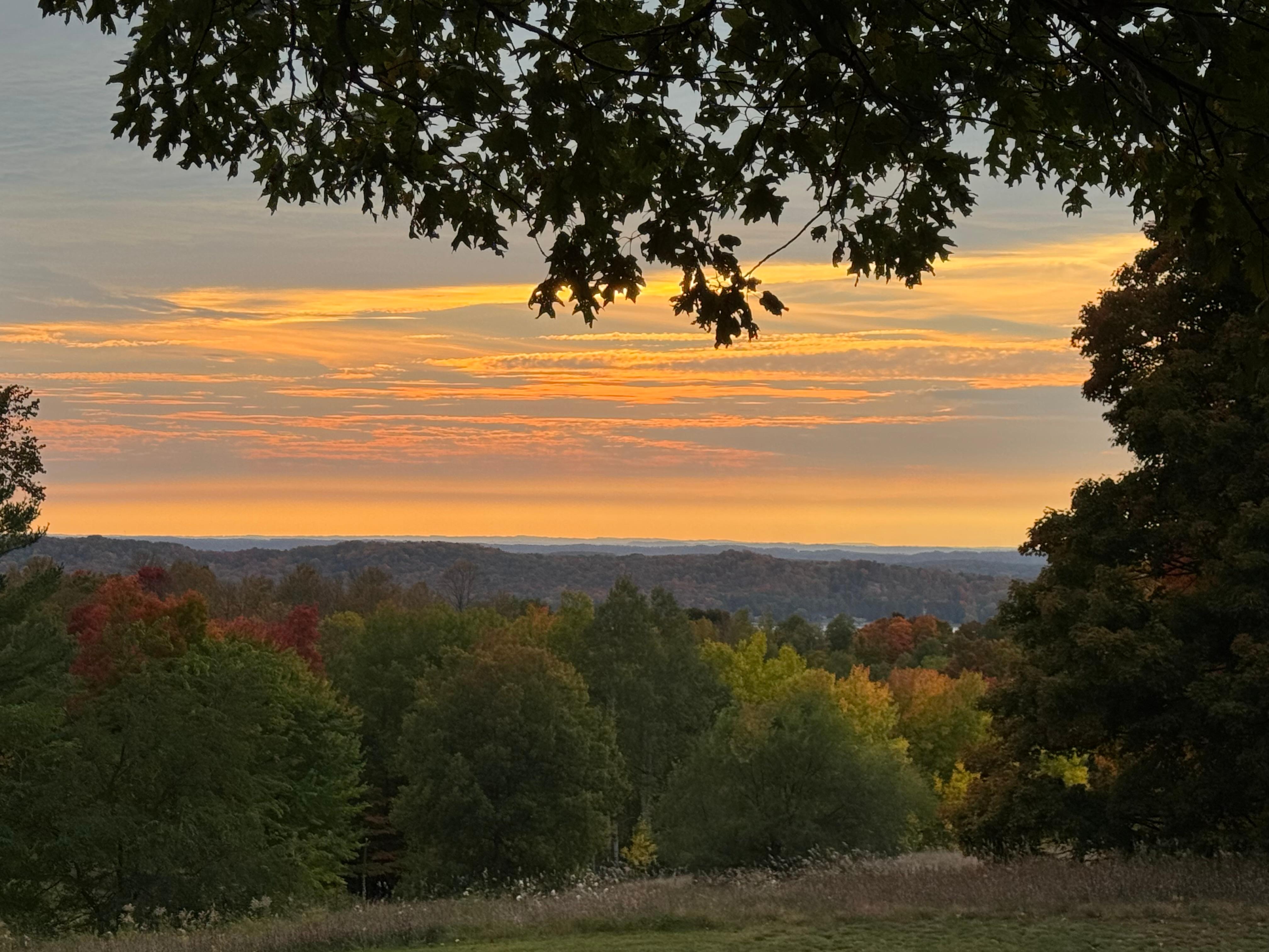 outside condo looking at Lake Bellaire 