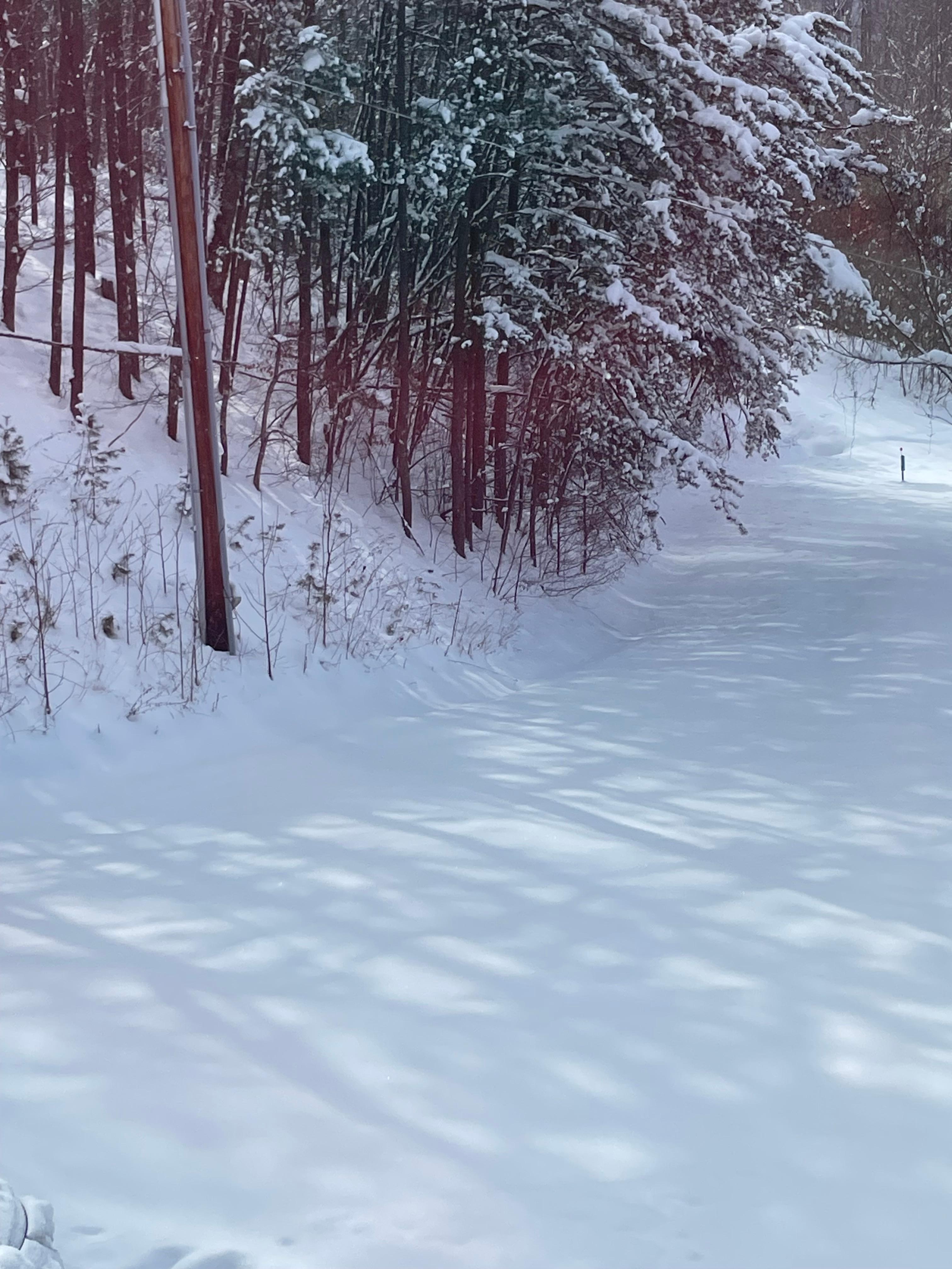 About a ft. of snow. 