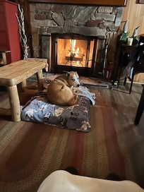 Living room with fireplace