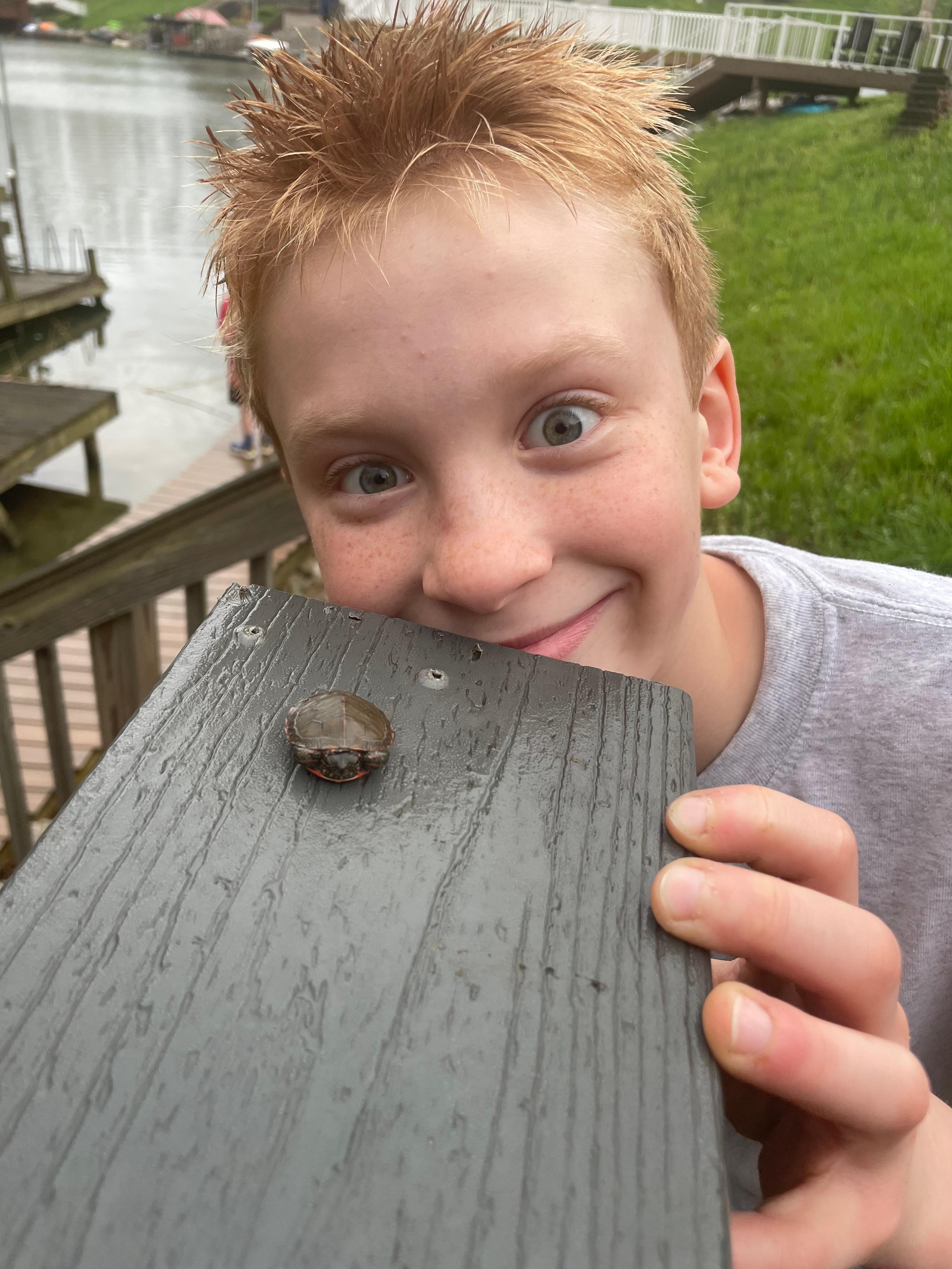 Baby turtle for the win!