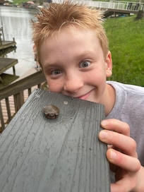 Baby turtle for the win!