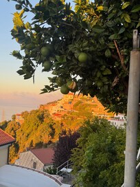 The beautiful view!