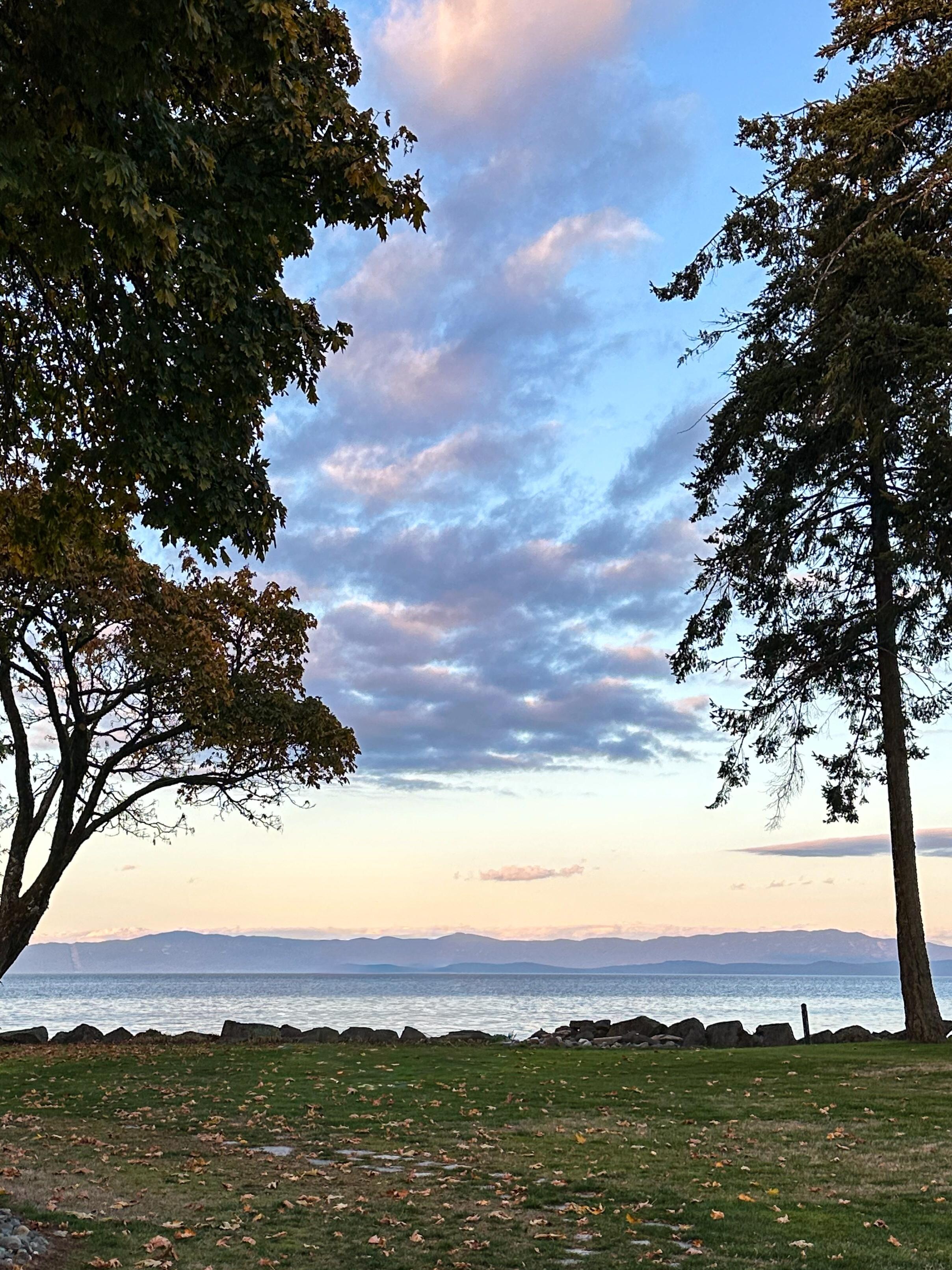 Beach access walkway